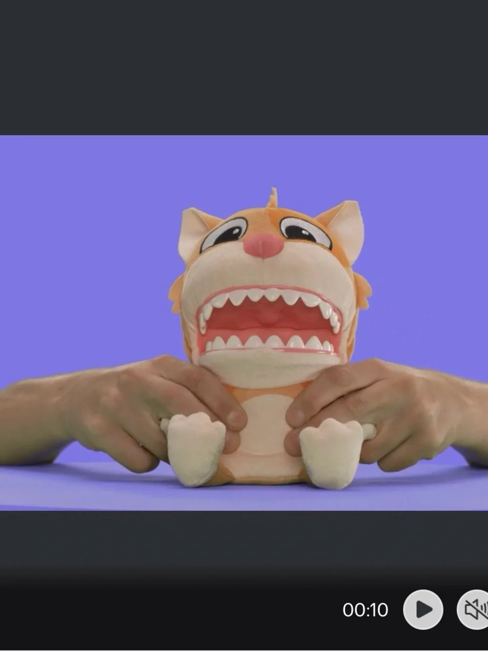 Chatter Chompers Cat Plush 6.3